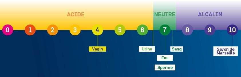 Echelle de pH microbiote vaginal